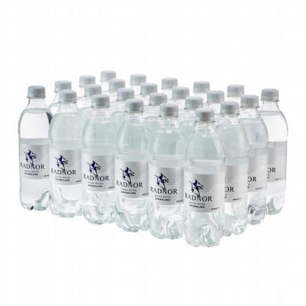 Radnor Hills Sparkling Water 500ml (Pack of 24)